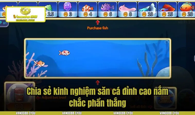 Chia sẻ kinh nghiệm săn cá đỉnh cao nắm chắc phần thắng
