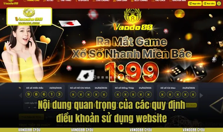  Nội dung quan trọng của các quy định điều khoản sử dụng website