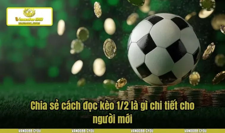 Chia sẻ cách đọc kèo 1/2 là gì chi tiết cho người mới