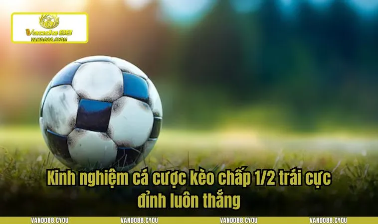 Kinh nghiệm cá cược kèo chấp 1/2 trái cực đỉnh luôn thắng