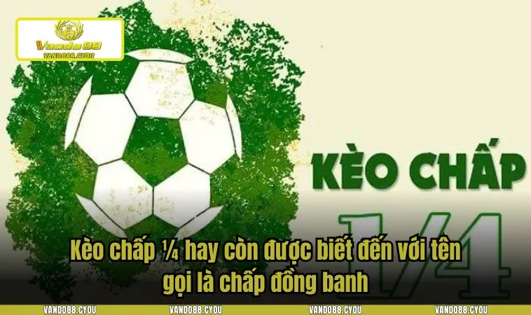 Kèo chấp 1/4 hay còn được biết đến với tên gọi là chấp đồng banh
