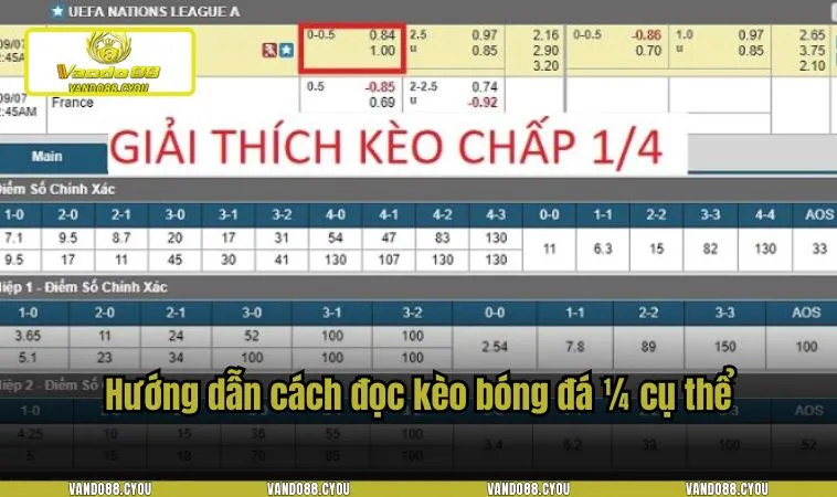 Hướng dẫn cách đọc kèo bóng đá 1/4 cụ thể